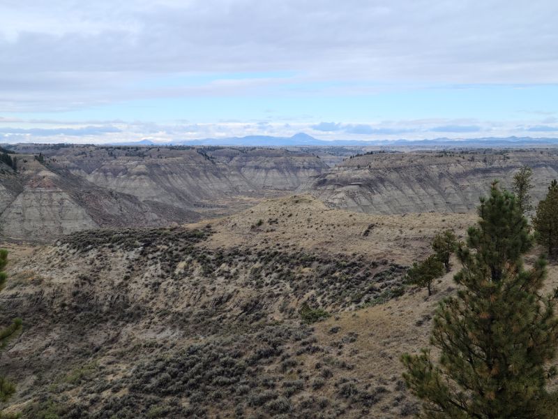 Canyon scenery.