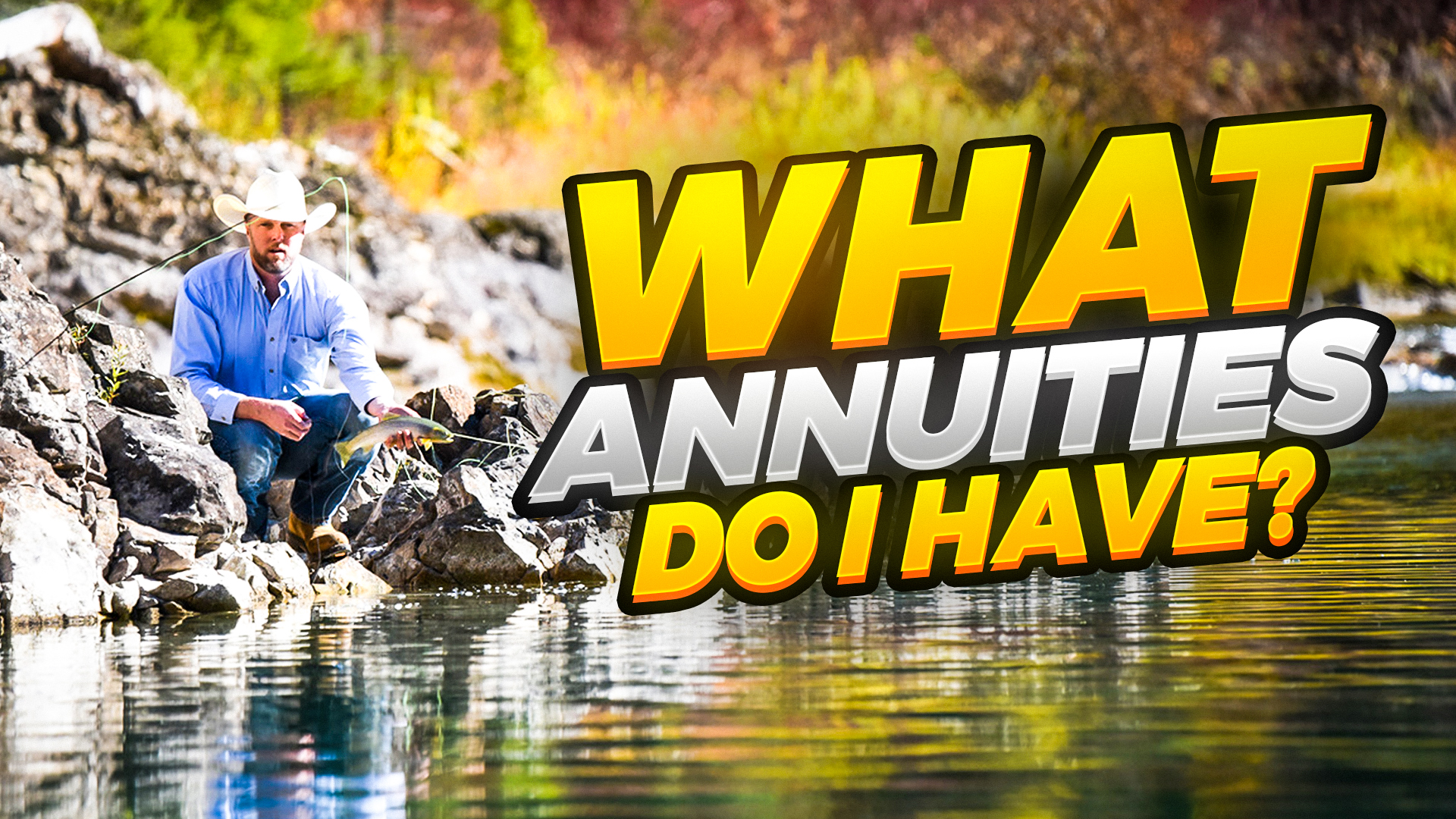 Blog1 post image What Annuities Do I Have?