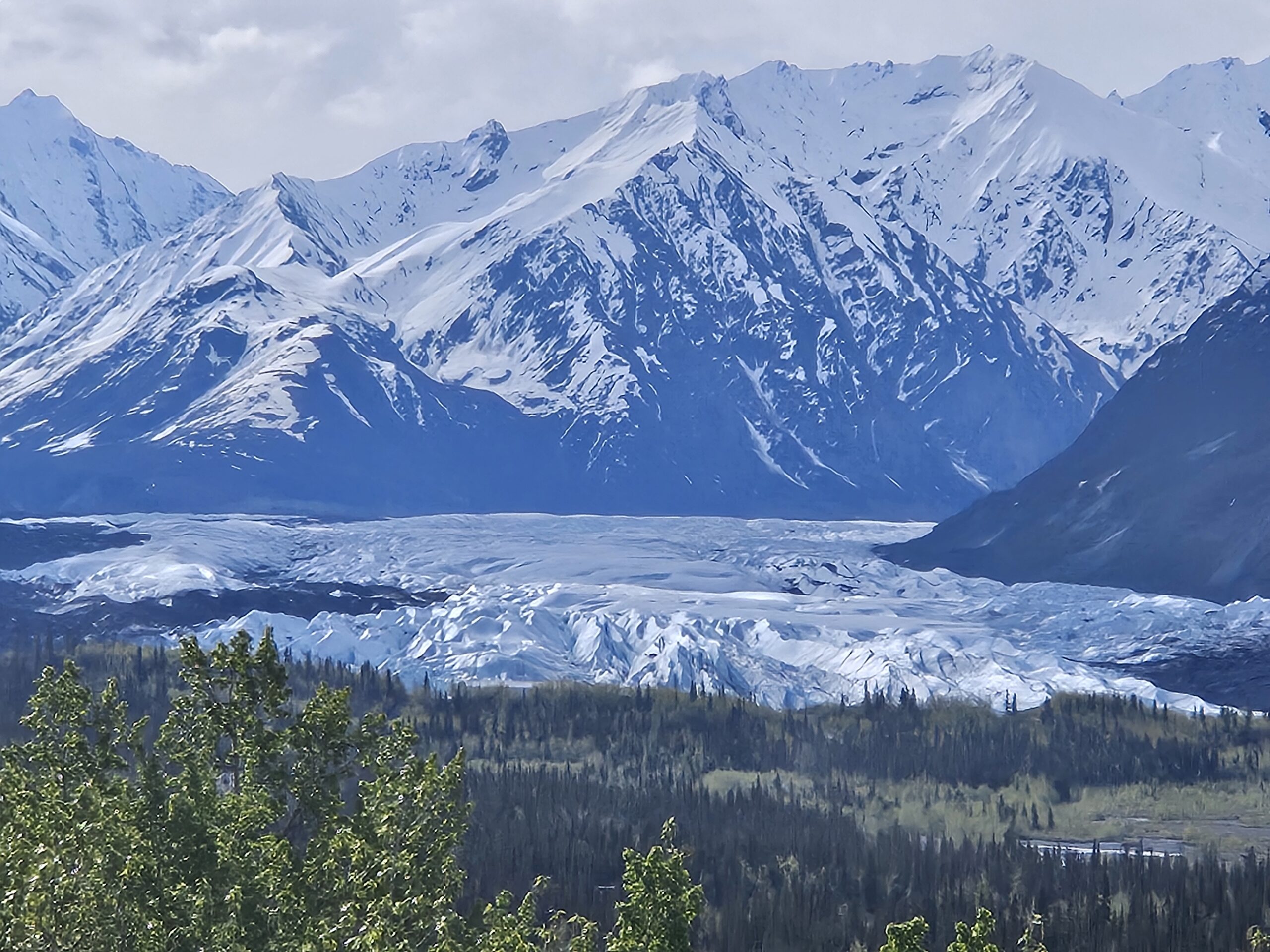 Blog1 post image How I Beat Fidelity's Annuity Quotes